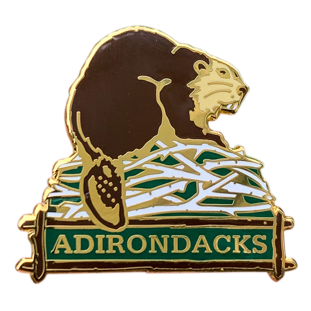 Adirondack Beaver Pin