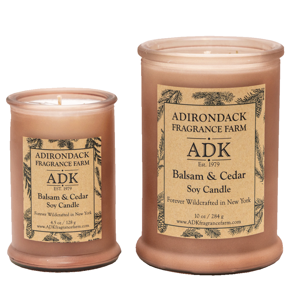 Balsam Cedar Hand-Poured Candle