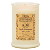 Apple Cinnamon Soy Candle 4.5 oz
