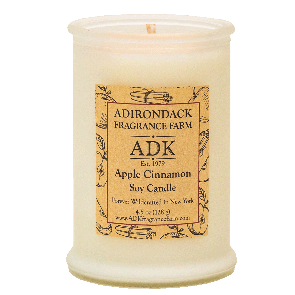 Apple Cinnamon Soy Candle 4.5 oz