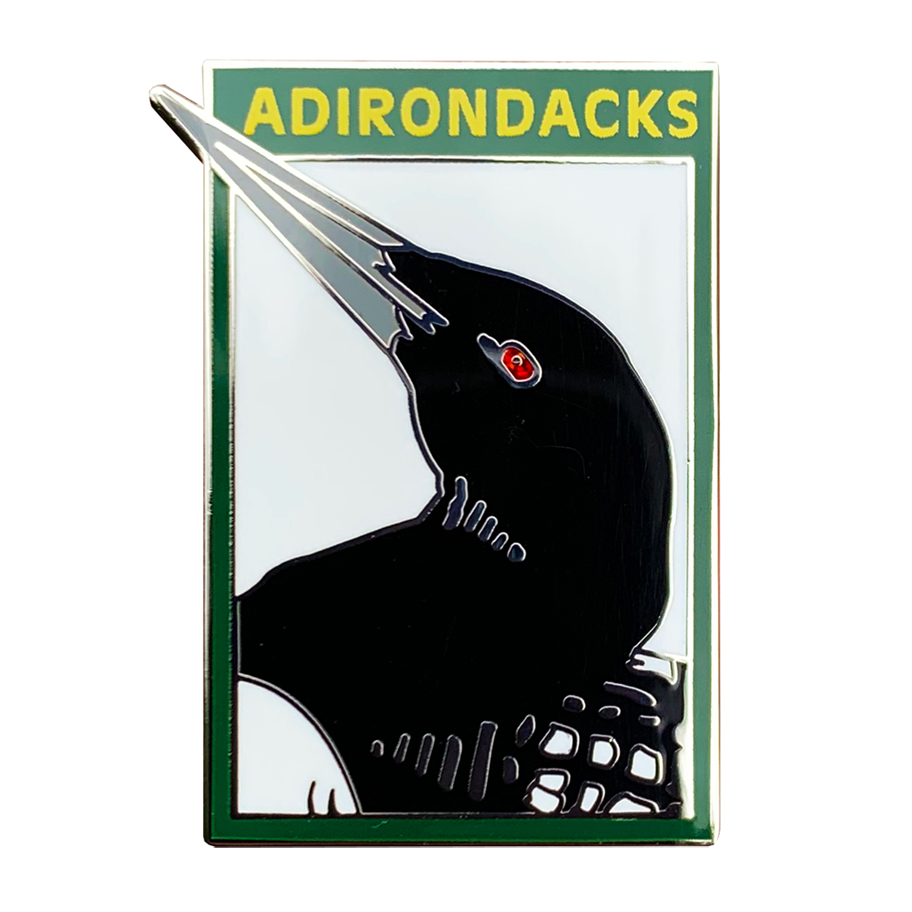 Adirondack Loon Pin